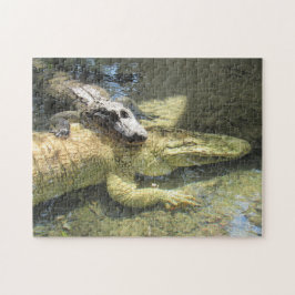 Quebra-cabeça de Gator Leucista e Amigo