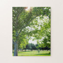 Quebra-cabeça de Golf de Disco