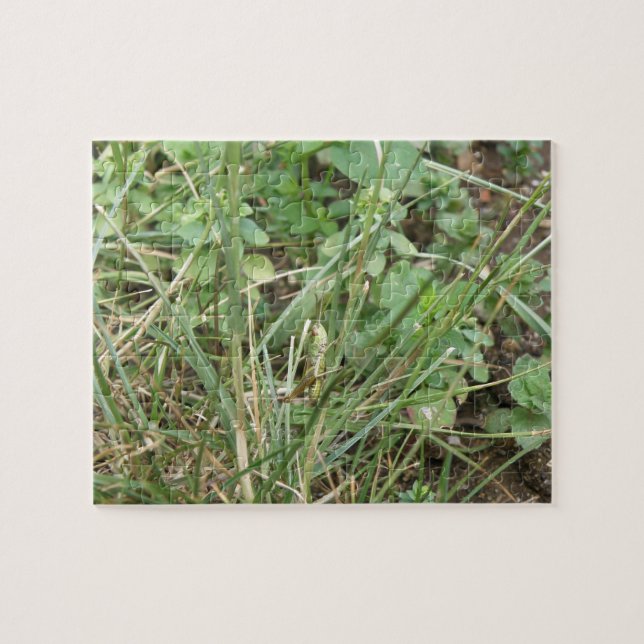 Quebra-cabeça de Grafopper Camouflage (Horizontal)