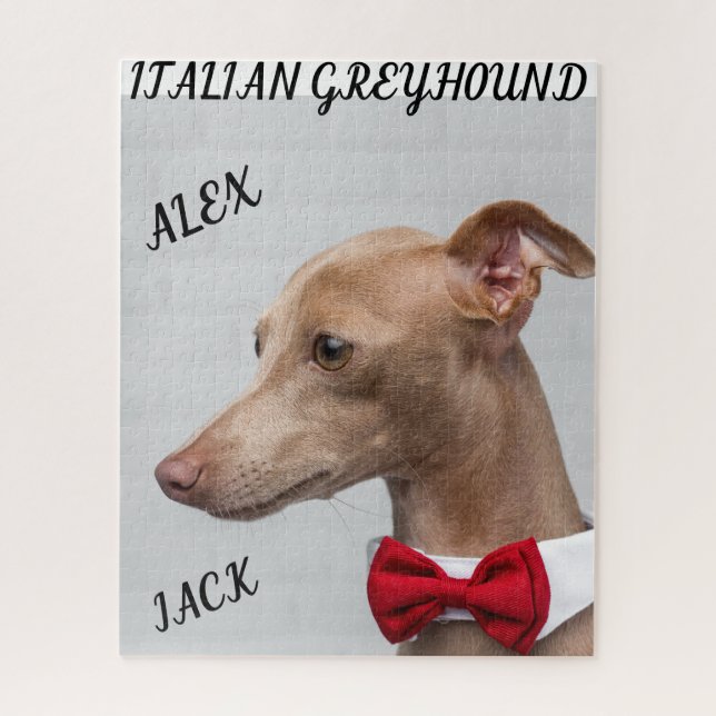 QUEBRA-CABEÇA DE GREYHOUND ITALIANO E NOMES PERSON (Vertical)