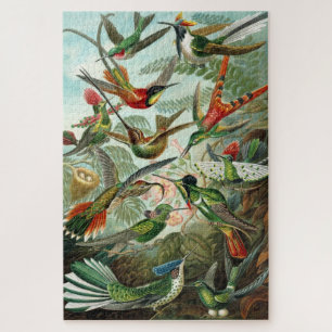 Quebra-cabeça de Haeckel Hummingbird
