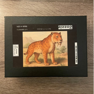 Quebra-cabeça de História Natural do Tigre Saber-D