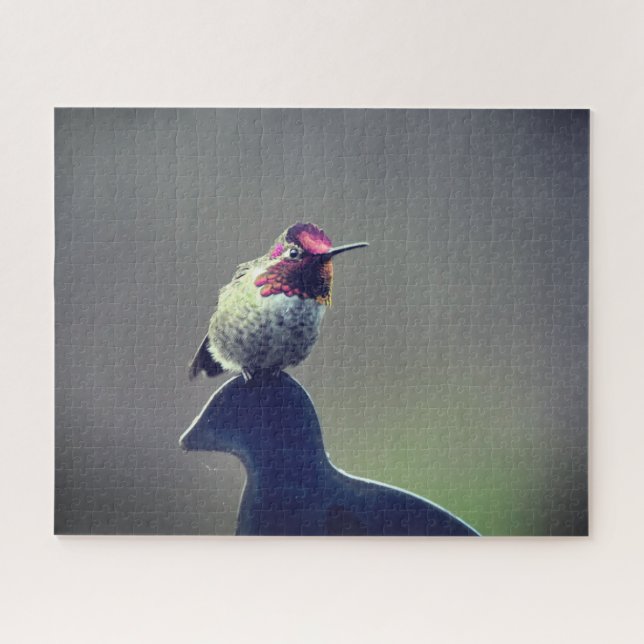 Quebra-cabeça de Hummingbird Anna (Horizontal)