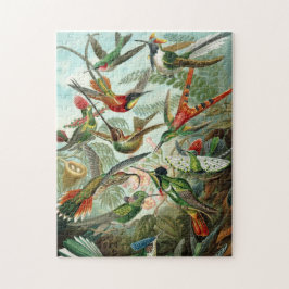 Quebra-cabeça de Hummingbird de Haeckel