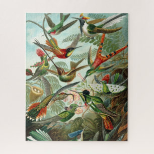 Quebra-cabeça de Hummingbird de Haeckel