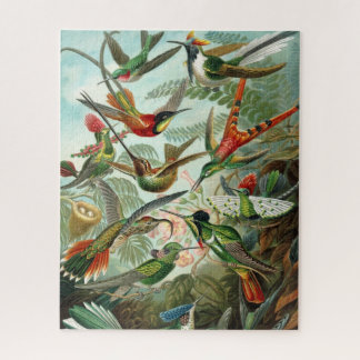 Quebra-cabeça de Hummingbird de Haeckel