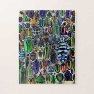 Quebra-cabeça de Insetos