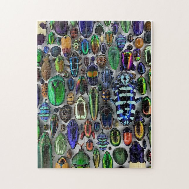 Quebra-cabeça de Insetos (Vertical)