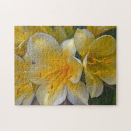 Quebra-cabeça de Jardim Floral Amarelo Dourado Flo