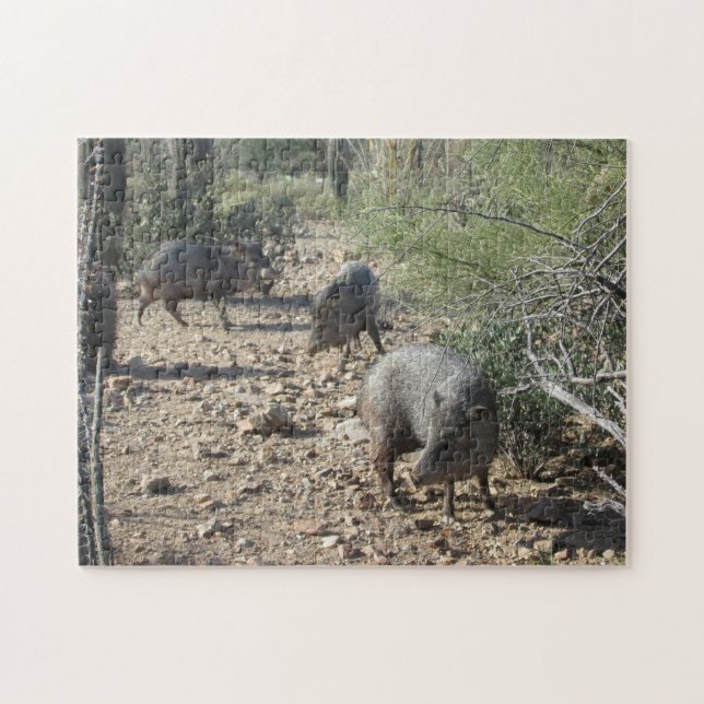 Quebra-cabeça de Javelina (Horizontal)
