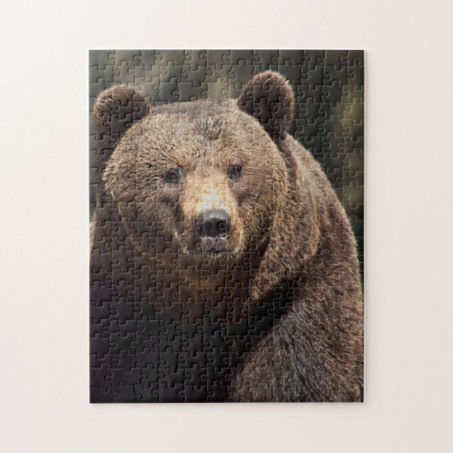 Quebra-cabeça DE JIGSAGEM DE URSO GRIZÍVEL (Vertical)