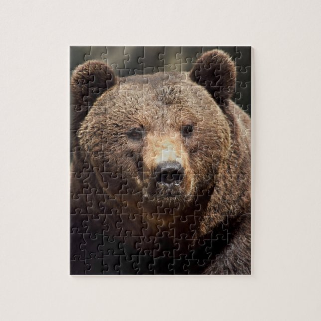 Quebra-cabeça DE JIGSAW 8X10 BEAR GRIZZLY (Vertical)