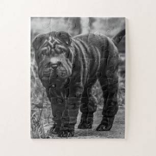 QUEBRA-CABEÇA DE JIGSAW DE CÃO PRETO DE SHAR PEI
