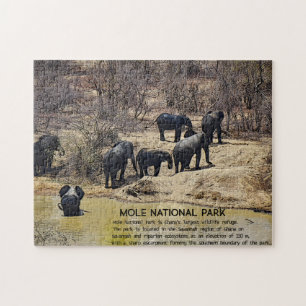 quebra-cabeça de Jigsaw, Elefante Africano