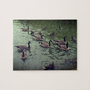 Quebra-cabeça de Jigsaw Gese & Mallard Patos do C