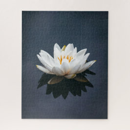 Quebra-cabeça DE JIGSAW: LOTUS NA ÁGUA