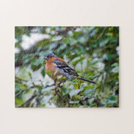 Quebra-cabeça de Jigsera Chaffinch