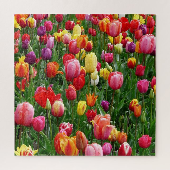 Quebra-cabeça de Jigsera do Festival de Tulip (Vertical)