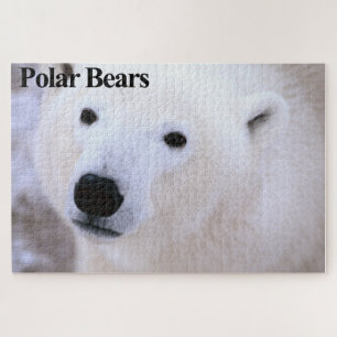 Quebra-cabeça de Jigserra Polar Bear Cub