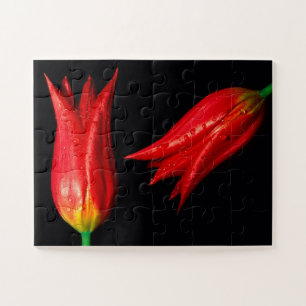 Quebra-cabeça de jogo Red Tulips