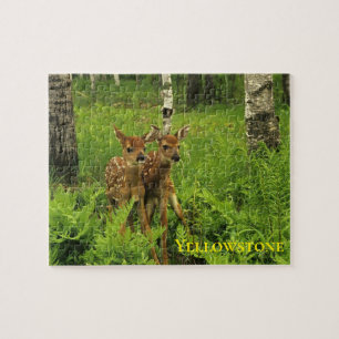 Quebra-cabeça de jogos de Fawn