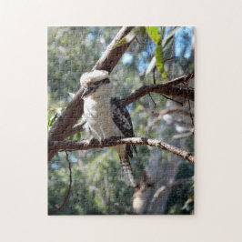 Quebra-cabeça de Kookaburra Foto Jigsaw