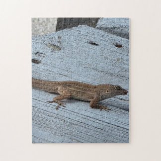 Quebra-cabeça de Lagarto de Jardim