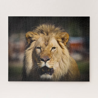 Quebra-cabeça de Leão Faminoso