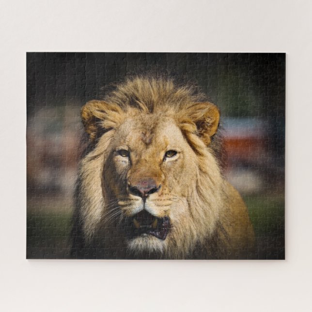 Quebra-cabeça de Leão Faminoso (Horizontal)