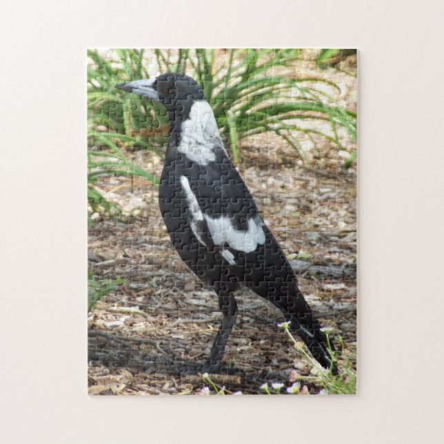 Quebra-cabeça de Magpie australiano (Vertical)