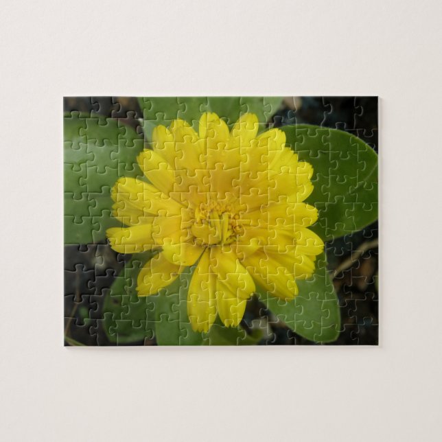 Quebra-cabeça de Marigold Amarelo Brilhante (Horizontal)