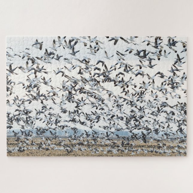 Quebra-cabeça de migração Primavera (Horizontal)