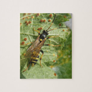 Quebra-cabeça de mosca