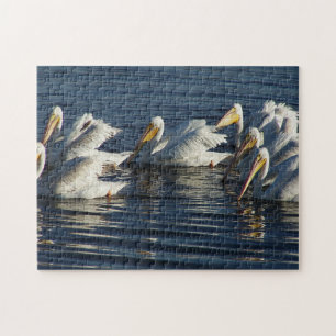 Quebra-cabeça de Natação de Aves Pelicanas Bran