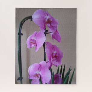 Quebra-cabeça de Orquídea Bonita