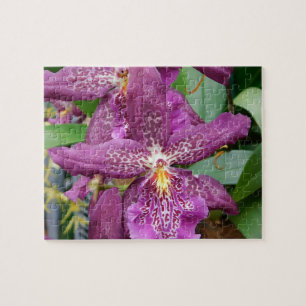Quebra-cabeça de Orquídeas Estrelas