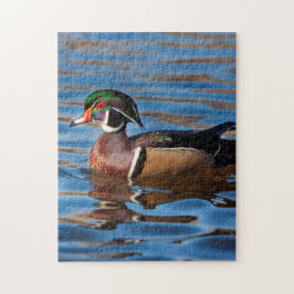 Quebra-cabeça de Pato, Quebra-cabeça de Pato de Ma