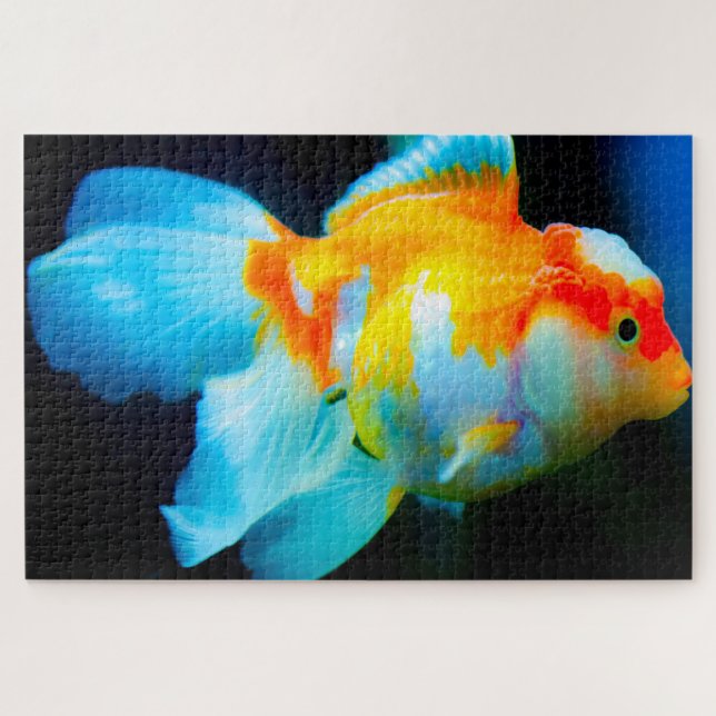 Quebra-cabeça de Peixes Tropicais (Horizontal)