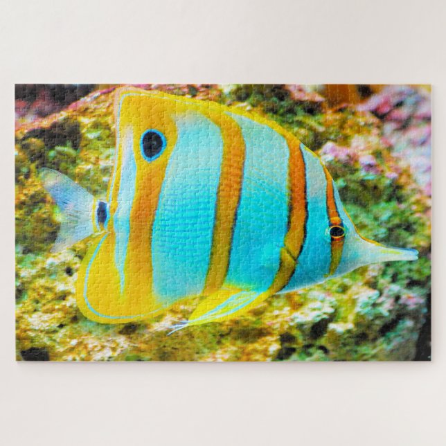 Quebra-cabeça de Peixes Tropicais (Horizontal)