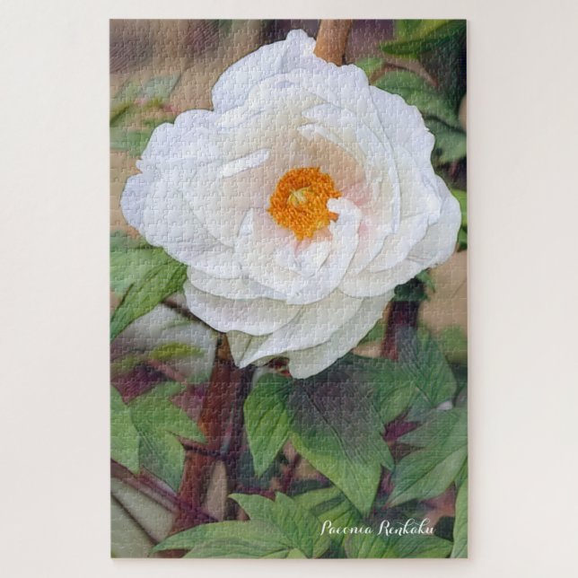 Quebra-cabeça de peônia [flor] (Vertical)