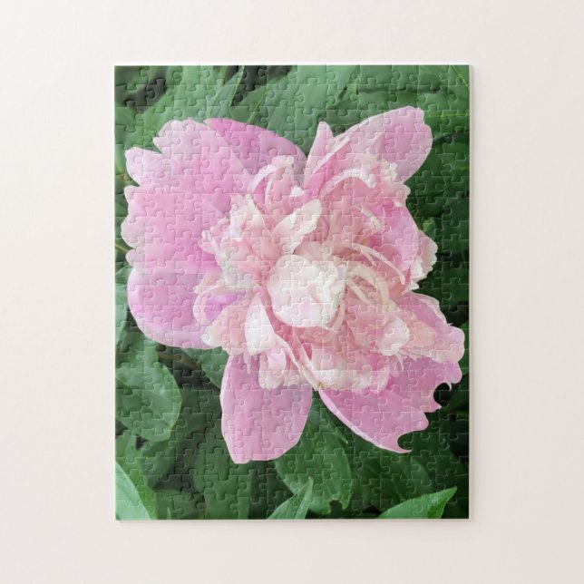 Quebra-cabeça de Peônia Rosa Claro (Vertical)