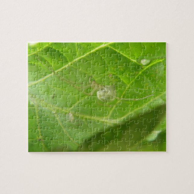 Quebra-cabeça de Pequena Aranha (Horizontal)