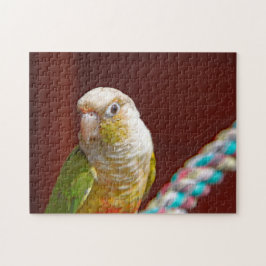 Quebra-cabeça de pinanás Conure Jigsera