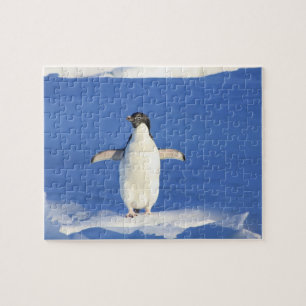 Quebra-cabeça de pinguim