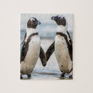 Quebra-cabeça de pinguim
