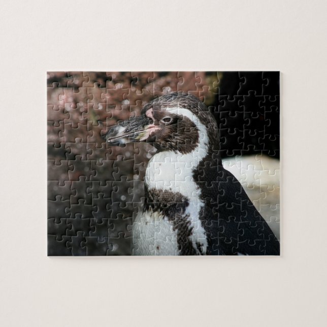 Quebra-cabeça de pinguim (Horizontal)