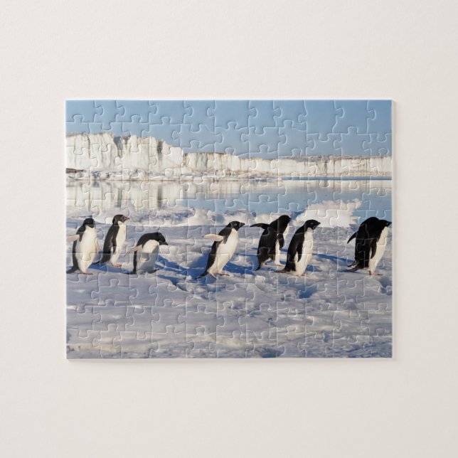 Quebra-cabeça de pinguins (Horizontal)