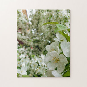 Quebra-cabeça de pinheiro de árvore de flores bran