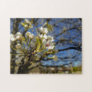 Quebra-cabeça de pintura de flor branca