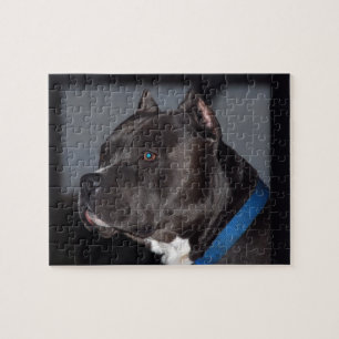 Quebra-cabeça de Pitbull